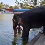 HYP_5828217_1776456190824_2