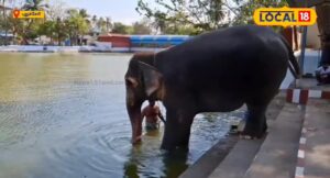 HYP_5828217_1776456190824_2