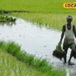 HYP_5830117_cropped_21042026_230505_image_search_1776792160075_1