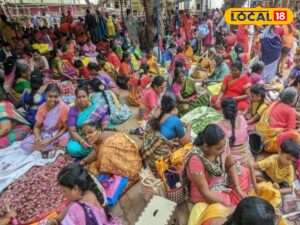 HYP_5830937_cropped_23042026_130610_4efb9906dfcde9ee4f79e5fca2_2