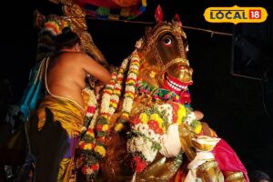 HYP_5831408_cropped_24042026_115551_20240416_194413_watermark__1-1200x800-1