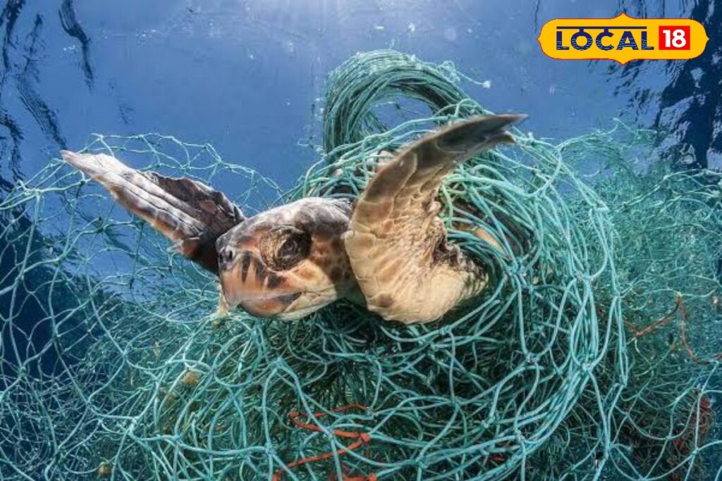 HYP_5831742_cropped_24042026_233413_images_20260424t232459109__1-1200x800-1