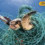 HYP_5831742_cropped_24042026_233413_images_20260424t232459109__1-1200x800-1