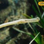 HYP_5832245_cropped_25042026_233439_images_20260425t183810777__1-1-1200x800-1