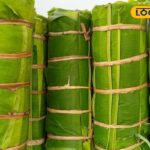 HYP_5832467_cropped_26042026_180000_mmkbananaleafshopayanavara_2-1200x800-1