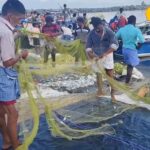 HYP_5833067_1777317539195_2