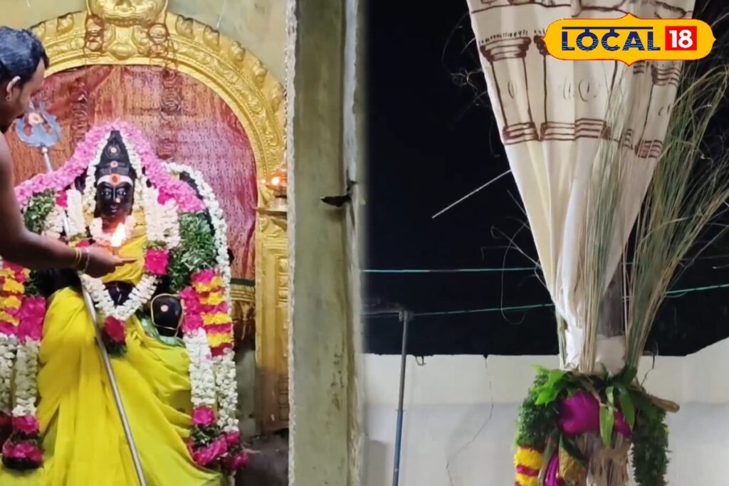 HYP_5833070_cropped_28042026_012043_inshot_20260428_012031335__2-1-1200x800-1