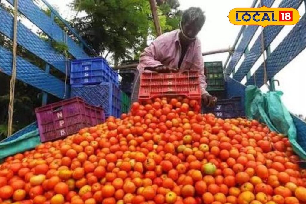 HYP_5833740_cropped_29042026_120627_images_20260429t115816408__2-1200x800-1