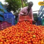 HYP_5833740_cropped_29042026_120627_images_20260429t115816408__2-1200x800-1