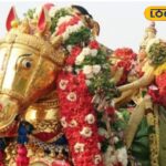 HYP_5833797_cropped_29042026_132735_kallalagar211683521393_wat_2-1200x800-1