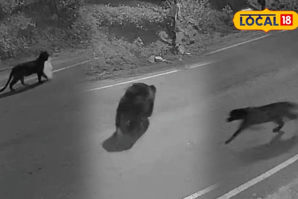 Untitled-design-2026-04-05T201912.838-2026-04-c222f74f9384d48c40e9c87d067a0b5d-1200x800-1