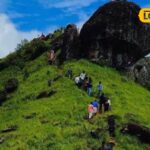 Untitled-design-2026-04-07T104223.533-2026-04-fe40f5031bdf56a99445cbbf35025ed7-1200x800-1