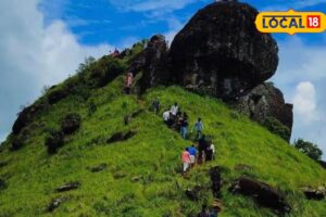 Untitled-design-2026-04-07T104223.533-2026-04-fe40f5031bdf56a99445cbbf35025ed7-1200x800-1