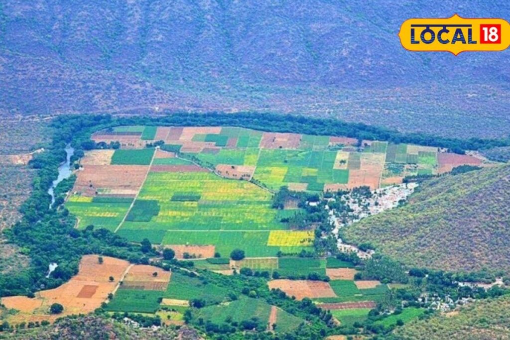 Untitled-design-2026-04-08T193334.787-2026-04-335f4f46b064f6a86897d2d35c9fc3aa-1200x800-1