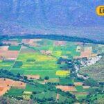 Untitled-design-2026-04-08T193334.787-2026-04-335f4f46b064f6a86897d2d35c9fc3aa-1200x800-1