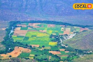 Untitled-design-2026-04-08T193334.787-2026-04-335f4f46b064f6a86897d2d35c9fc3aa-1200x800-1