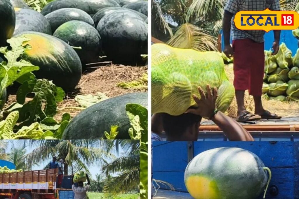 Untitled-design-2026-04-12T122338.707-2026-04-51430a87b17733eeeeb557e76e524581-1200x800-1