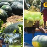 Untitled-design-2026-04-12T122338.707-2026-04-51430a87b17733eeeeb557e76e524581-1200x800-1