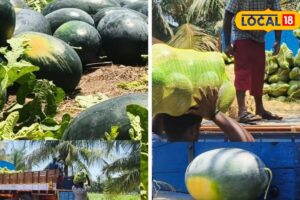 Untitled-design-2026-04-12T122338.707-2026-04-51430a87b17733eeeeb557e76e524581-1200x800-1