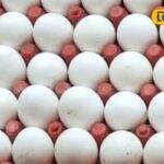 Untitled-design-2026-04-14T111850.150-2026-04-f794bd7cecd956924885e9c029490886-1200x800-1