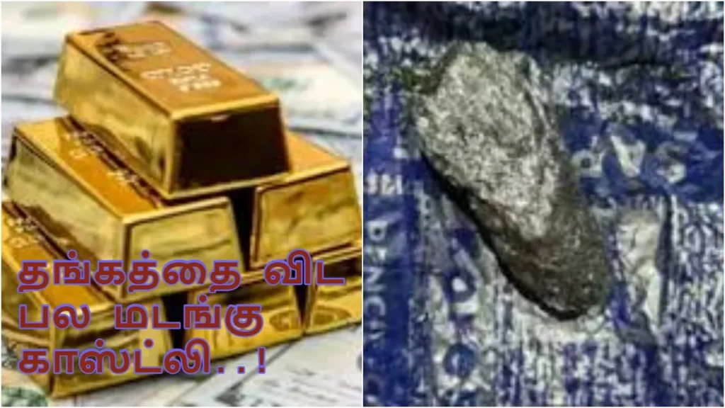 befunky-collage-2026-04-12t100508-699-1775968627