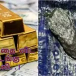 befunky-collage-2026-04-12t100508-699-1775968627