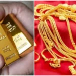 befunky-collage16-1775101013