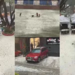 bengaluruhailstorm-1777486040