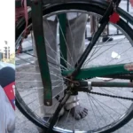 enhanced-image-2026-04-21t203228-851-1776783792