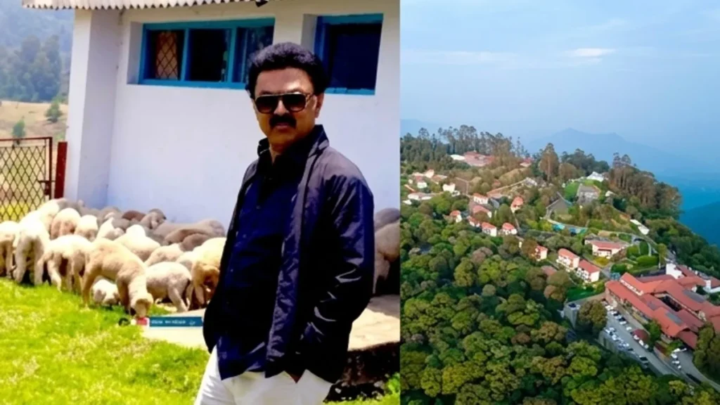 enhanced-image10-1777095407