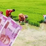 enhanced-image26-tile-1776528957