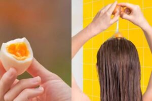 hair-2026-04-6e3625ae2525ea3492b101e7cbda954a-1200x800-1