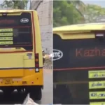 image1-2026-04-06t003310-051-1775415809