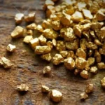 image1-2026-04-11t184055-844-1775913083