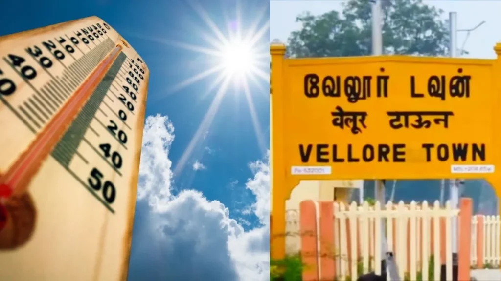 image1-2026-04-11t211708-591-1775922455