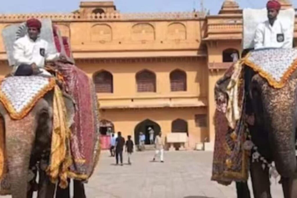 images-2026-04-09T105558.588-2026-04-8c624f01b992c57506d2a39b734d9732-1200x800-1