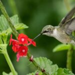 images-2026-04-21T220131.456-2026-04-c71a2adea7d3003ae346589afe2f2964