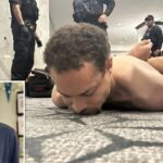 images-79-2026-04-b6cc7a4184a709d92d239bcd849edee4-1200x800-1