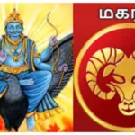 magaramfea-1775290845