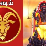 meshamrasipalan-1777025083