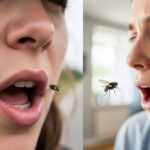 mosquito-2026-04-edca8276aa3d254d225381680e1a8d85-1200x800-1