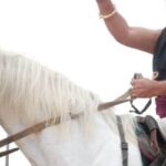 news18-2026-04-16T190250.084-2026-04-5bf207f6d5481f5c54e4a393161ef6c7-1200x800-1