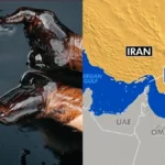 oil6-1777525525