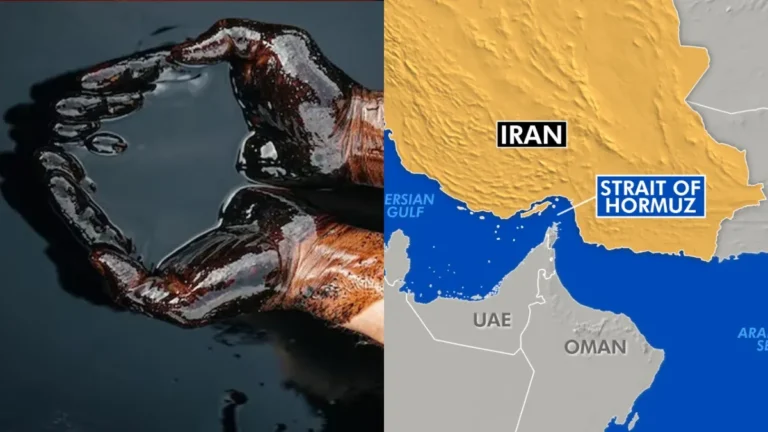 oil6-1777525525