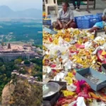 palanitemplehundicollection-1777465296