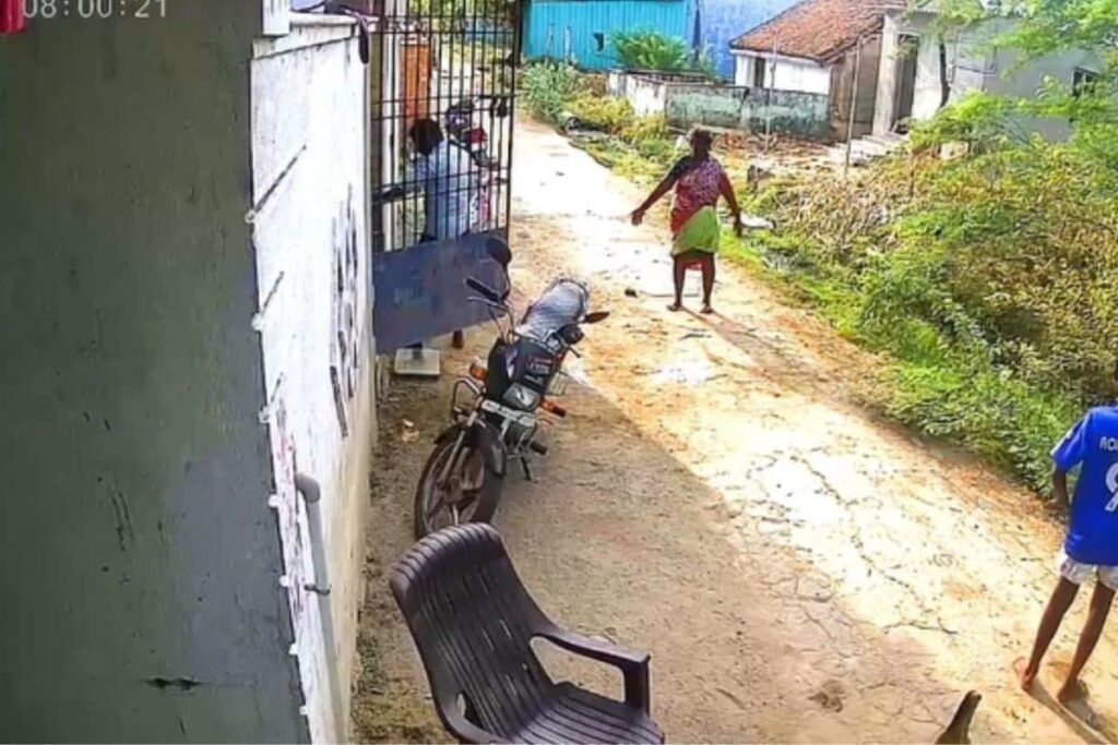 stray-dpgs-2026-04-576a19bbe51967fe8809eaf198459663-1200x800-1