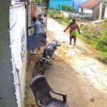 stray-dpgs-2026-04-576a19bbe51967fe8809eaf198459663-1200x800-1