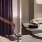 thailandhotelsnake-1775475028