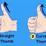 thumb-finger-personality-2026-04-49e79cdfe8874251efc2f4232a00630b-1200x800-1
