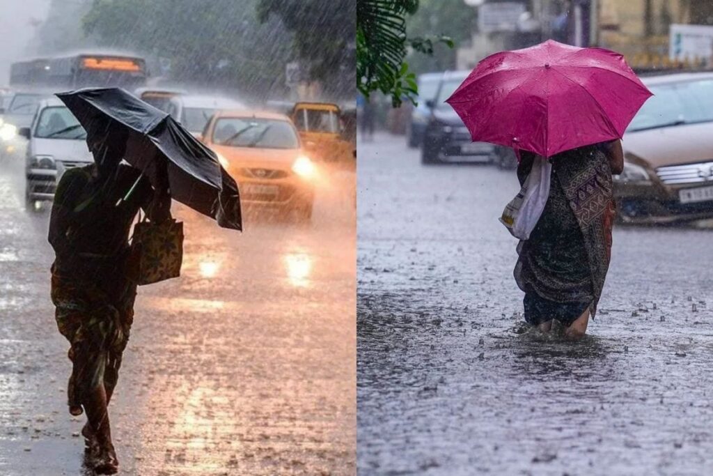 RAIN-86-2026-02-c02d92fe2226b0f24f510d5fb00978ce-3x2-1